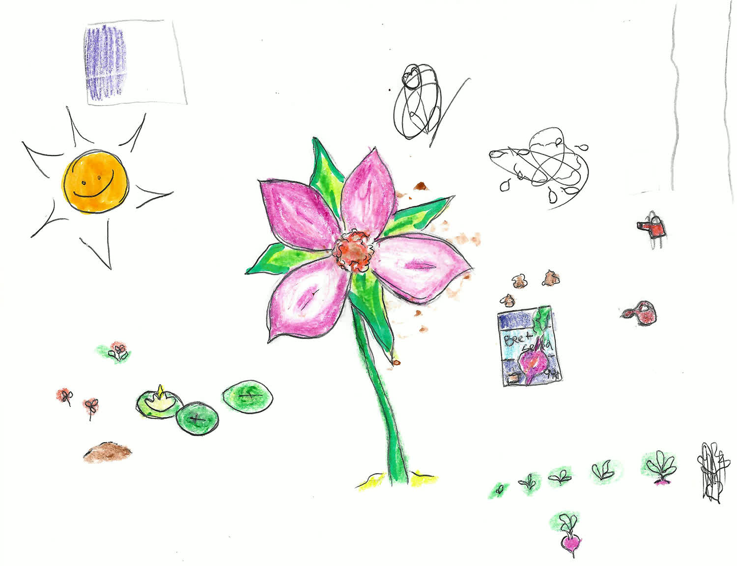 Mind Garden asset scan 5